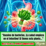 Espinacas para Purificar el Intestino: Limpieza Natural desde Adentro