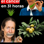 Barbara O’Neill y la Filosofía de la Sanación Integral: Cuidar el Terreno, No Solo la Enfermedad Barbara O’Neill y la Filosofía de la Sanación Integral: Cuidar el Terreno, No Solo la Enfermedad