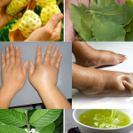 Tónico Natural de Jengibre, Limón y Pepino: El Secreto para Piernas Ligeras y Energía Renovada Tónico Natural de Jengibre, Limón y Pepino: El Secreto para Piernas Ligeras y Energía Renovada