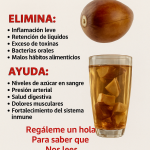 Té de Semilla de Aguacate: El Tesoro Natural que Limpia, Fortalece y Rejuvenece tu Cuerpo Té de Semilla de Aguacate: El Tesoro Natural que Limpia, Fortalece y Rejuvenece tu Cuerpo