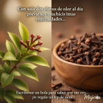 Clavos de Olor: El Tesoro Escondido en tu Cocina que Fortalece tu Salud Naturalmente Clavos de Olor: El Tesoro Escondido en tu Cocina que Fortalece tu Salud Naturalmente