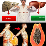 Semillas de Papaya: El Tesoro Natural que Apoya tu Digestión, Hígado y Bienestar General Semillas de Papaya: El Tesoro Natural que Apoya tu Digestión, Hígado y Bienestar General