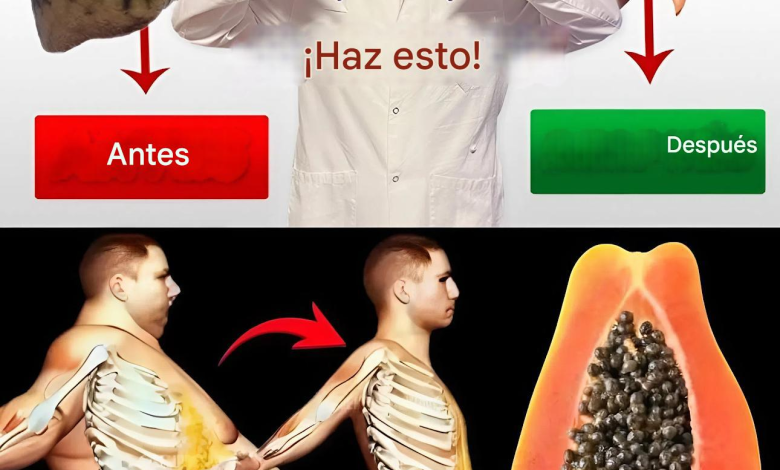 Semillas de Papaya: El Tesoro Natural que Apoya tu Digestión, Hígado y Bienestar General