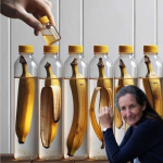 El Truco de la Botella con Cáscaras de Plátano: Convierte tus Residuos en un Fertilizante Natural y Ecológico