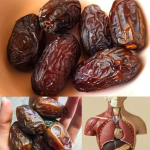 Come Dátiles Antes de Dormir: El Secreto Natural para una Mejor Digestión y Bienestar Come Dátiles Antes de Dormir: El Secreto Natural para una Mejor Digestión y Bienestar