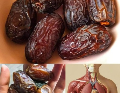 Come Dátiles Antes de Dormir: El Secreto Natural para una Mejor Digestión y Bienestar Come Dátiles Antes de Dormir: El Secreto Natural para una Mejor Digestión y Bienestar