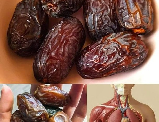 Come Dátiles Antes de Dormir: El Secreto Natural para una Mejor Digestión y Bienestar