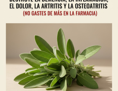 Todo lo que Puedes Hacer con una Sola Planta de Salvia: Los Usos de la Abuela Todo lo que Puedes Hacer con una Sola Planta de Salvia: Los Usos de la Abuela