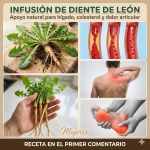 Infusión de diente de león: el secreto natural para cuidar tu salud Infusión de diente de león: el secreto natural para cuidar tu salud