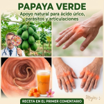 El secreto verde olvidado: cómo la papaya inmadura puede transformar tu bienestar