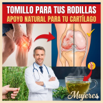 Tomillo: el remedio natural que podría apoyar la regeneración del cartílago en las rodillas Tomillo: el remedio natural que podría apoyar la regeneración del cartílago en las rodillas