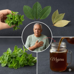 La infusión natural que apoya tu salud: diabetes, circulación, presión arterial y más La infusión natural que apoya tu salud: diabetes, circulación, presión arterial y más