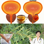 Té Natural para Cuidar la Próstata: Plantas Tradicionales que Apoyan tu Salud Urinaria