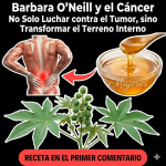 Ricino o Higuereta (Ricinus communis): Beneficios, Usos Seguros y Recetas Naturales (Guía Completa)