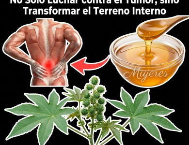 Ricino o Higuereta (Ricinus communis): Beneficios, Usos Seguros y Recetas Naturales (Guía Completa)