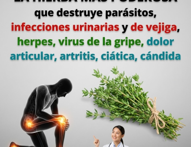 Tomillo (Thymus vulgaris): Beneficios, Propiedades, Cómo Usarlo y Precauciones (Guía Completa)