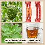Té de Hojas de Guanábana y Orégano Ancho: Beneficios, Preparación, Dosis y Precauciones (Guía Clara)