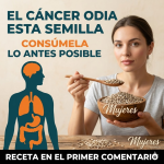 6 semillas que muchos adultos mayores ya tienen en casa y que pueden apoyar la digestión, la energía y la salud celular 6 semillas que muchos adultos mayores ya tienen en casa y que pueden apoyar la digestión, la energía y la salud celular