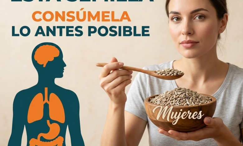 6 semillas que muchos adultos mayores ya tienen en casa y que pueden apoyar la digestión, la energía y la salud celular