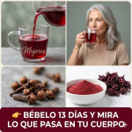 Infusión de Flor de Jamaica con Clavo, Cayena e Higo Seco: Beneficios, Receta y Precauciones (Guía Clara)