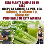 Apio para limpiar y fortalecer Riñones e Hígado: Beneficios, Formas de Consumo, Recetas y Precauciones (Guía Clara)