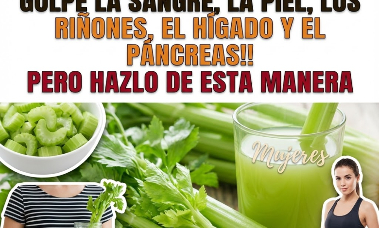 Apio para limpiar y fortalecer Riñones e Hígado: Beneficios, Formas de Consumo, Recetas y Precauciones (Guía Clara)