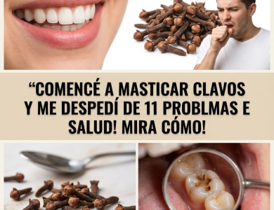 El Clavo de Olor: Qué Es, Para Qué Sirve y Cómo Usarlo con Seguridad