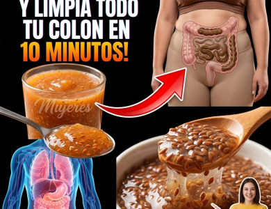 Linaza para apoyar el colon: receta práctica, beneficios, uso correcto y precauciones