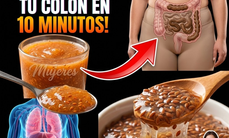 Linaza para apoyar el colon: receta práctica, beneficios, uso correcto y precauciones