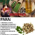 Moringa y salud visual: nutrientes clave, 3 recetas prácticas y precauciones (Guía clara)