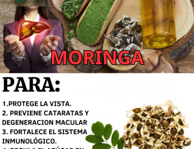 Moringa y salud visual: nutrientes clave, 3 recetas prácticas y precauciones (Guía clara) Moringa y salud visual: nutrientes clave, 3 recetas prácticas y precauciones (Guía clara)