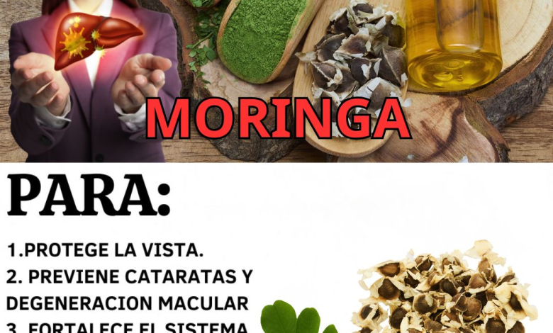 Moringa y salud visual: nutrientes clave, 3 recetas prácticas y precauciones (Guía clara)