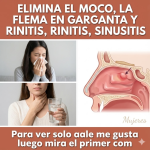 Remedios Caseros para el Moco, la Flema, la Rinitis y la Sinusitis: Guía Clara con Recetas y Precauciones