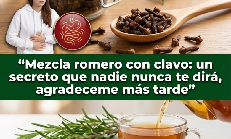 Romero y Clavos: La Mezcla Natural Multiusos para Cabello, Dolor Muscular, Digestión y Piel (Guía clara)