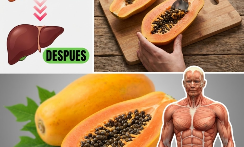 Semillas de Papaya: Cómo Usarlas, Recetas Prácticas, Beneficios y Precauciones (Guía clara)