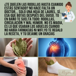 Hojas de Laurel para el Dolor de Rodillas: Beneficios, 5 Formas de Uso y Consejos (Guía clara y práctica)