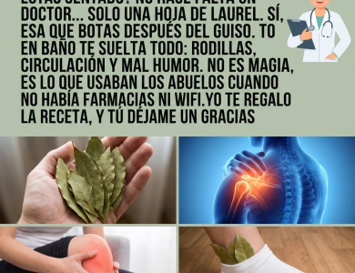 Hojas de Laurel para el Dolor de Rodillas: Beneficios, 5 Formas de Uso y Consejos (Guía clara y práctica)