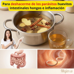Infusión de Jengibre, Anís Estrellado, Clavo y Canela: Apoyo Digestivo, Antimicrobiano Suave y Uso Responsable (Guía clara) Infusión de Jengibre, Anís Estrellado, Clavo y Canela: Apoyo Digestivo, Antimicrobiano Suave y Uso Responsable (Guía clara)