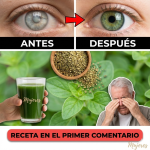 Orégano Orejón (Plectranthus amboinicus): Beneficios, usos tradicionales y cómo tomarlo de forma segura (Guía clara)