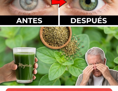 Orégano Orejón (Plectranthus amboinicus): Beneficios, usos tradicionales y cómo tomarlo de forma segura (Guía clara)