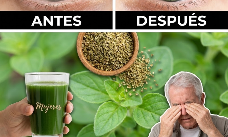 Orégano Orejón (Plectranthus amboinicus): Beneficios, usos tradicionales y cómo tomarlo de forma segura (Guía clara)
