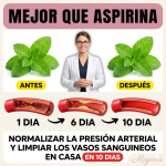 4 plantas para apoyar la salud de las arterias: menta, alcachofa, ajo y cúrcuma (Guía clara con recetas) 4 plantas para apoyar la salud de las arterias: menta, alcachofa, ajo y cúrcuma (Guía clara con recetas)