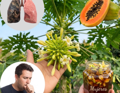 17 beneficios sorprendentes de la flor de papaya para una salud óptima después de los 30