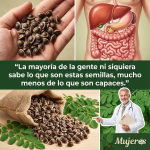 Semillas de Moringa: Limpia tu Hígado y Baja el Colesterol de Forma Natural