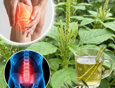 Bledo blanco: la “maleza” silvestre que puede cuidar tu cerebro, tu energía y tu digestión