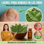 Laurel para hongos en las uñas: cómo usarlo, beneficios y precauciones