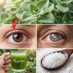 La Planta que Muchos Usan para Cuidar sus Ojos: Orégano Cubano y Visión Natural La Planta que Muchos Usan para Cuidar sus Ojos: Orégano Cubano y Visión Natural