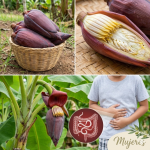 Corazón de plátano: la flor de tu jardín que vale más que el dinero