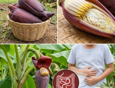 Corazón de plátano: la flor de tu jardín que vale más que el dinero