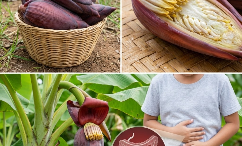 Corazón de plátano: la flor de tu jardín que vale más que el dinero